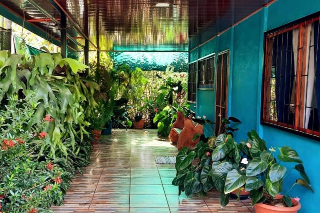 Hospedaje Valencia Osa, Cr Potrero  Esterno foto