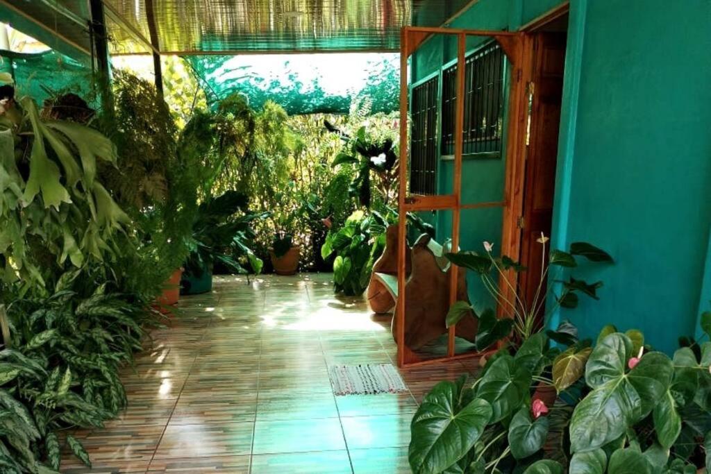 Hospedaje Valencia Osa, Cr Potrero  Esterno foto